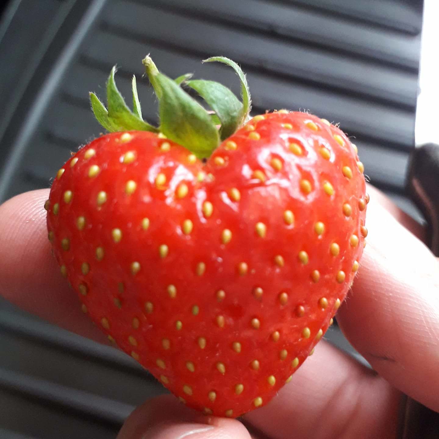 ¿Cuál es tu definición de dieta?